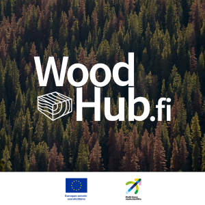 Etelä-Savo goes Global logo